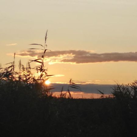 Pfahlbau Rust/Neusiedlersee Sunset I Villa Eksteriør billede