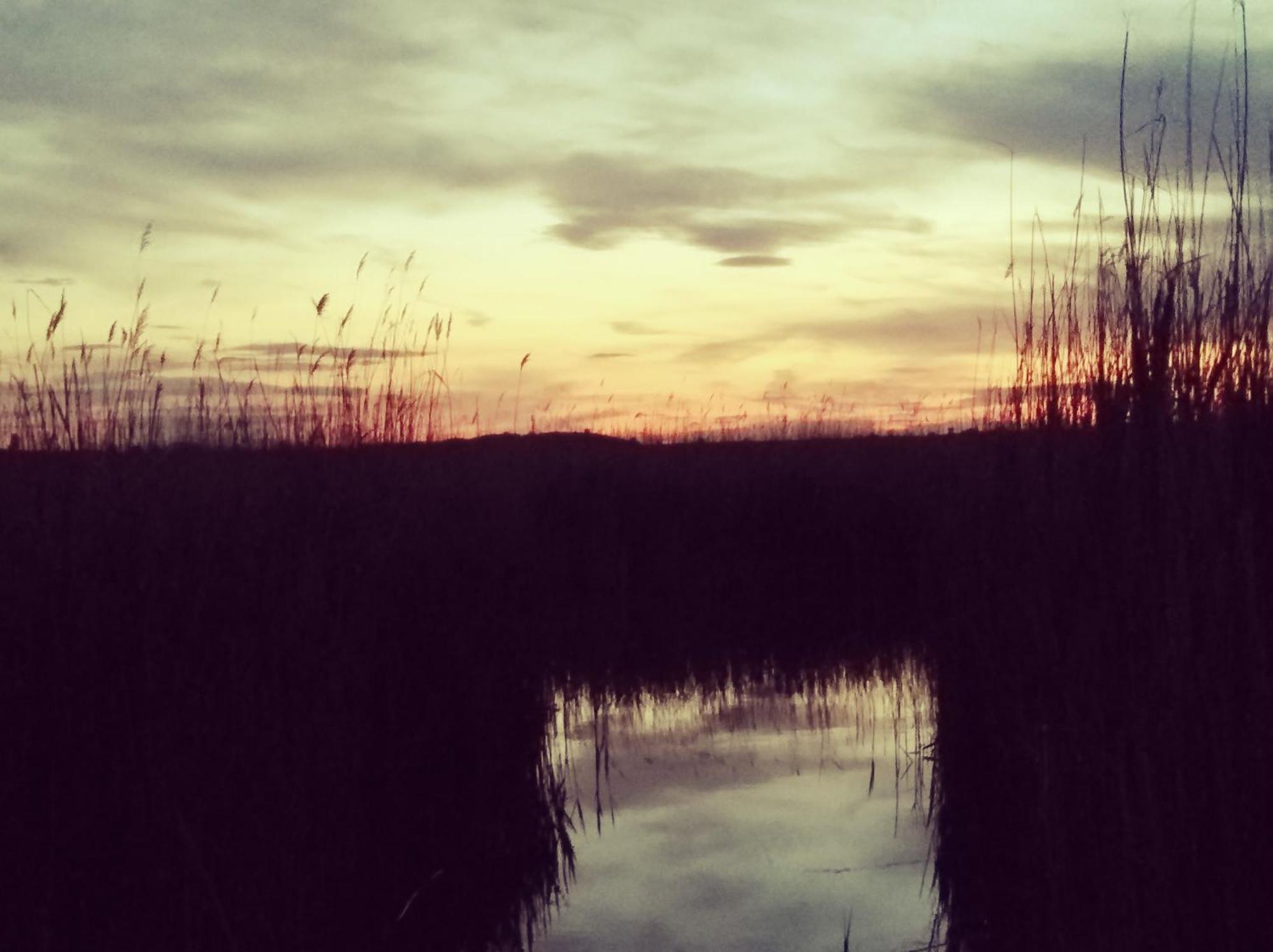 Pfahlbau Rust/Neusiedlersee Sunset I Villa Eksteriør billede