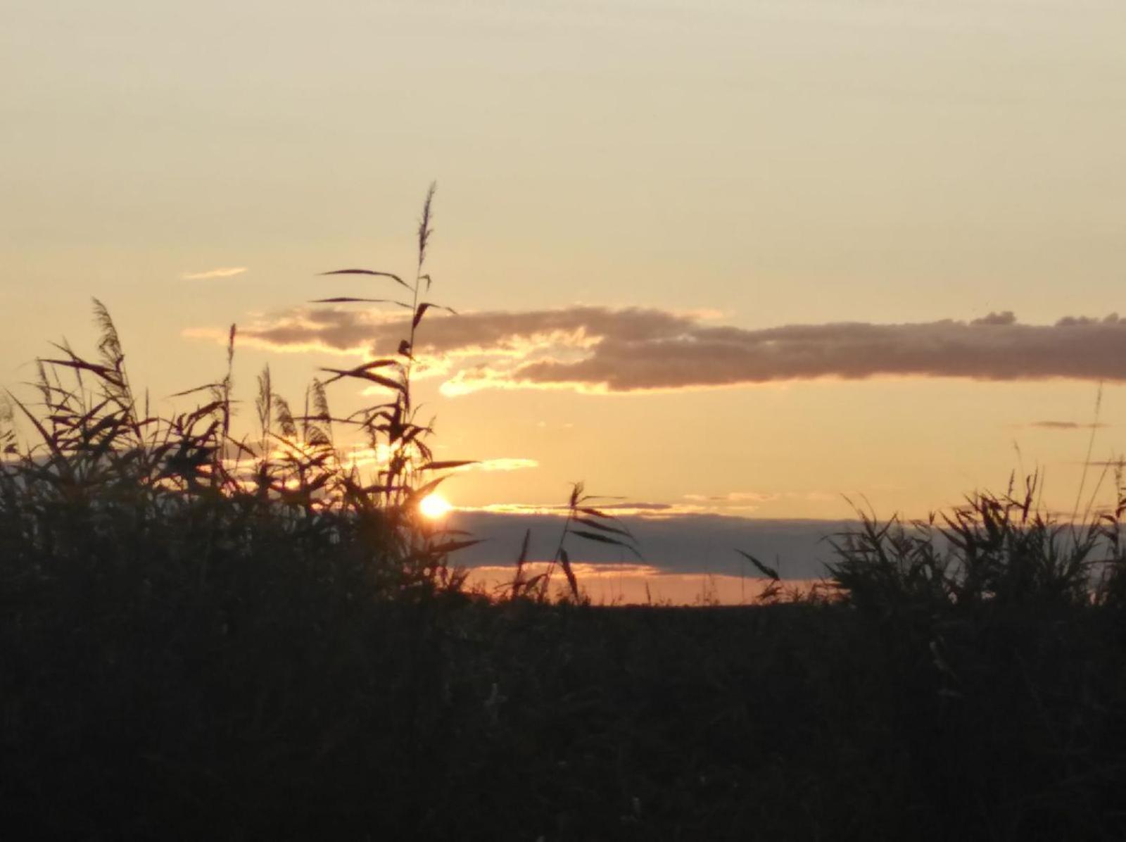 Pfahlbau Rust/Neusiedlersee Sunset I Villa Eksteriør billede