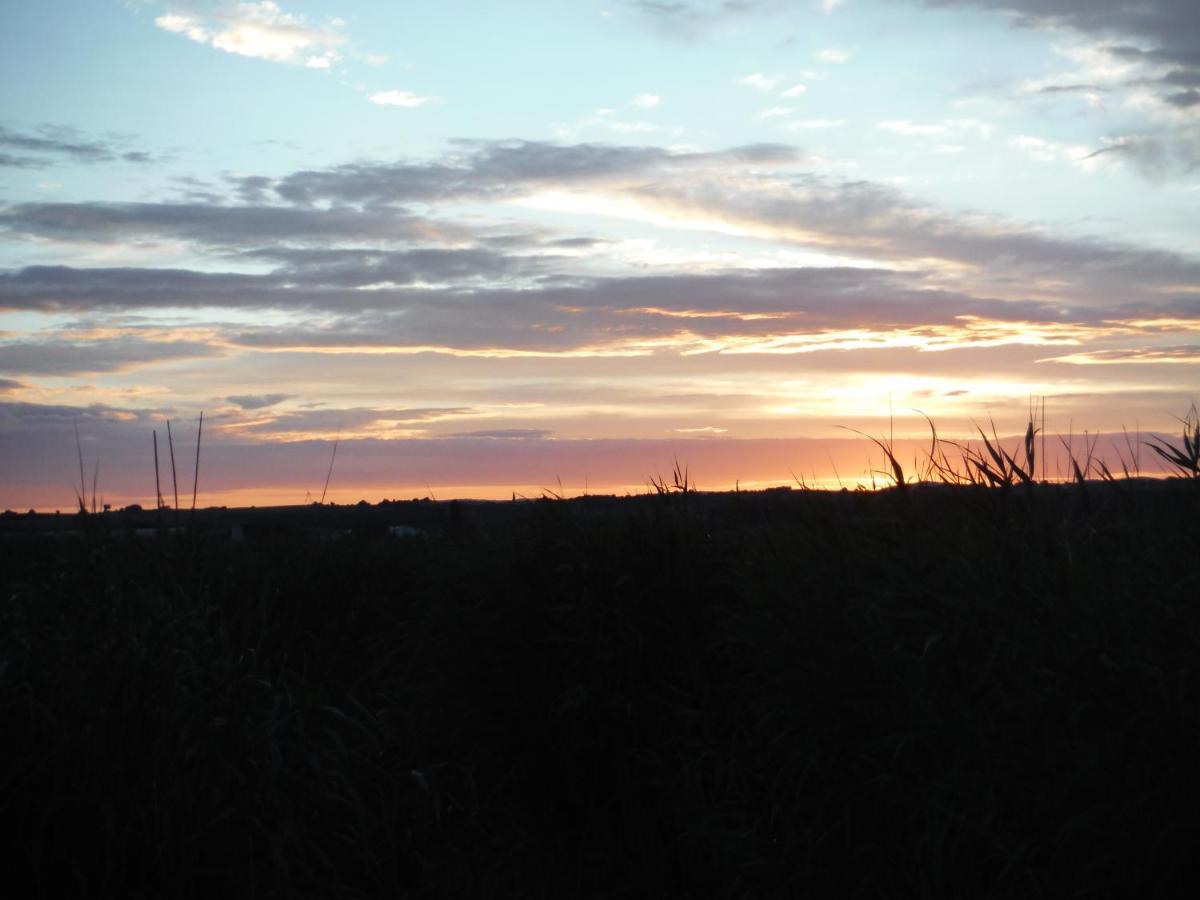 Pfahlbau Rust/Neusiedlersee Sunset I Villa Eksteriør billede