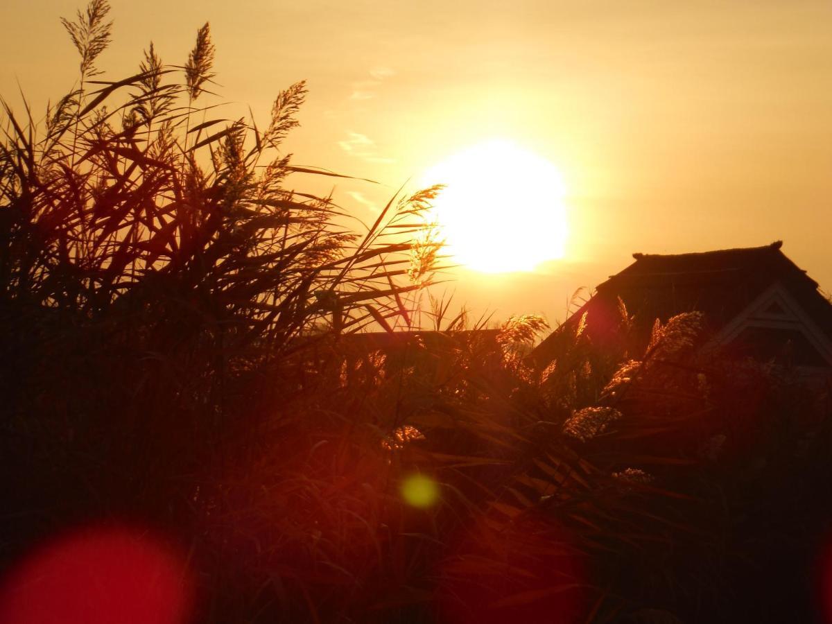 Pfahlbau Rust/Neusiedlersee Sunset I Villa Eksteriør billede