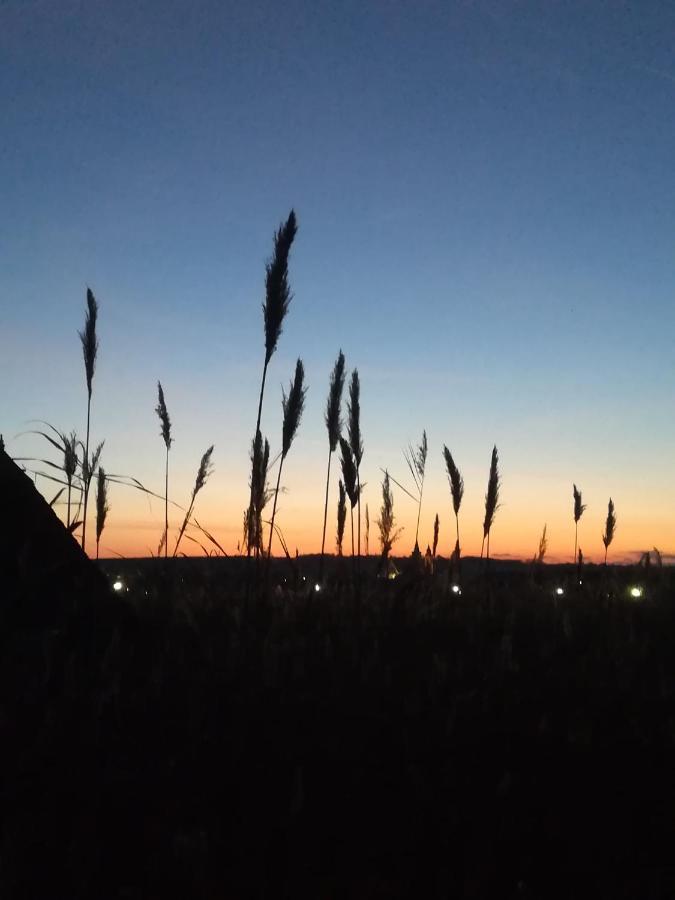 Pfahlbau Rust/Neusiedlersee Sunset I Villa Eksteriør billede