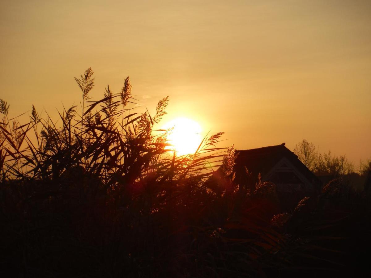 Pfahlbau Rust/Neusiedlersee Sunset I Villa Eksteriør billede