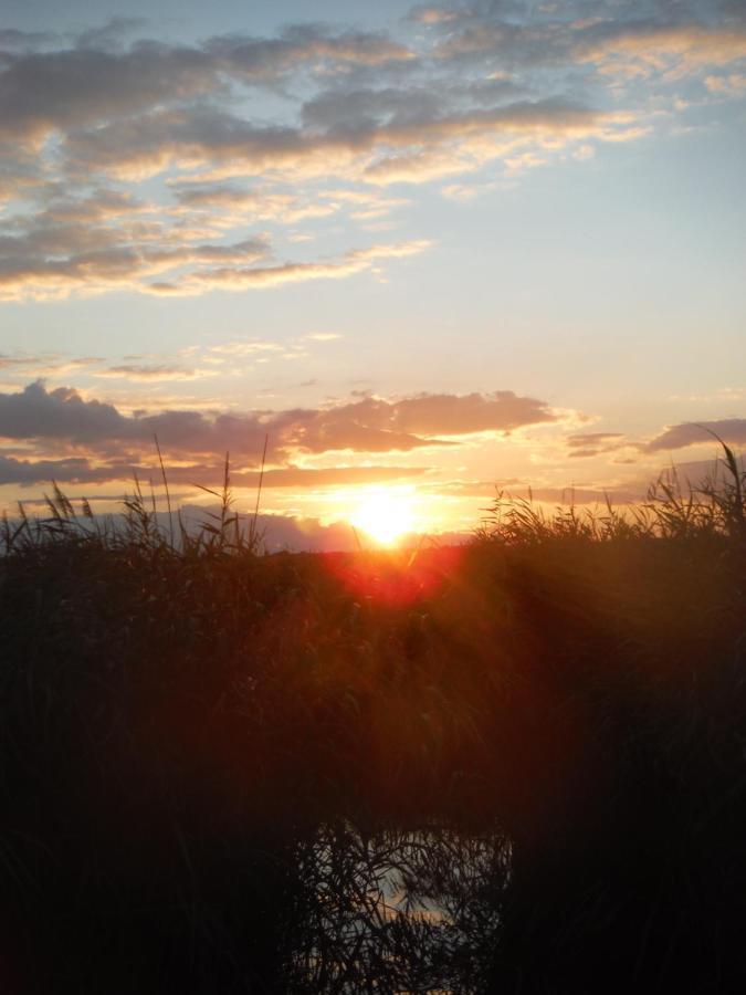 Pfahlbau Rust/Neusiedlersee Sunset I Villa Eksteriør billede