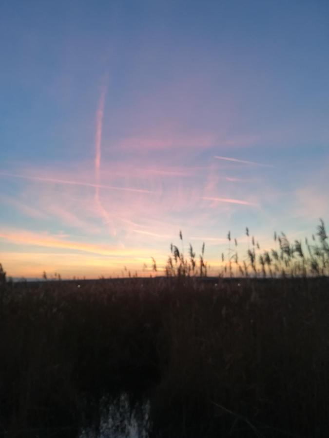 Pfahlbau Rust/Neusiedlersee Sunset I Villa Eksteriør billede