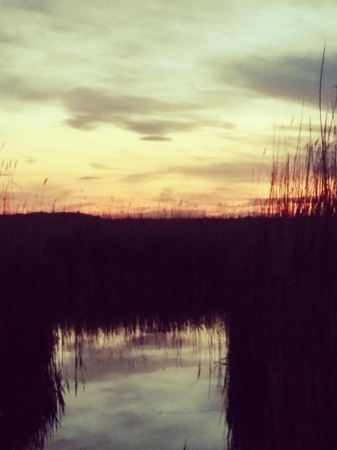 Pfahlbau Rust/Neusiedlersee Sunset I Villa Eksteriør billede