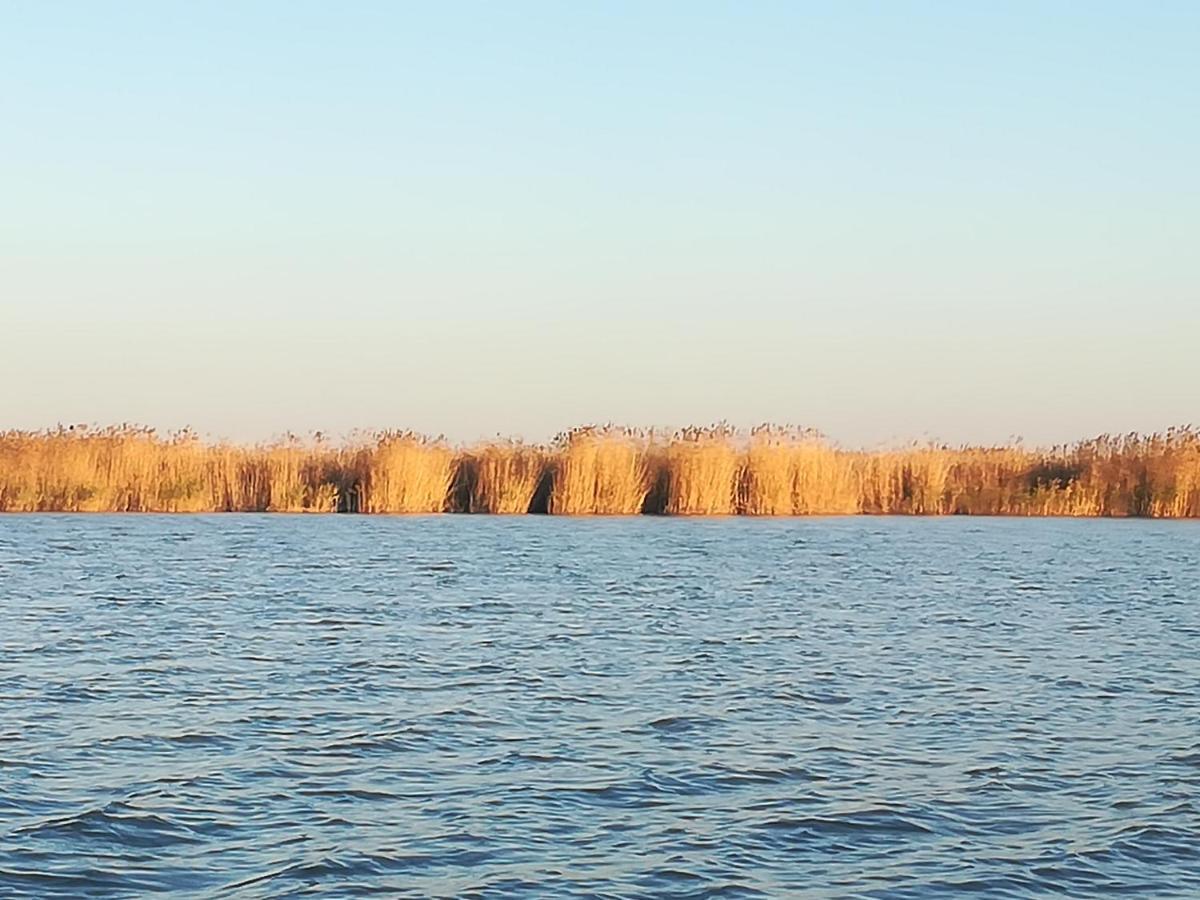 Pfahlbau Rust/Neusiedlersee Sunset I Villa Eksteriør billede